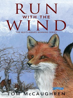 Run with the Wind - ebook